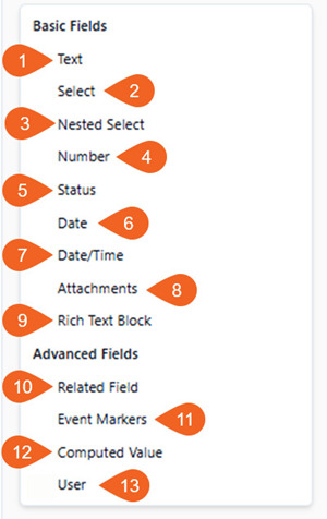 13 Fields